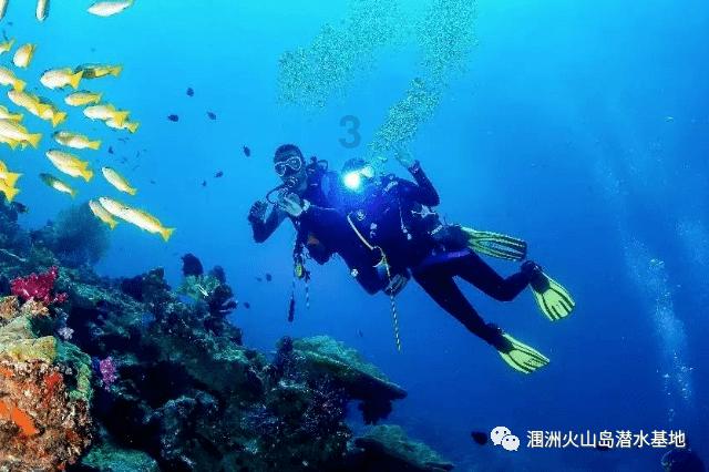 真金白银!安溪多条措施促茶产业高质量发展!